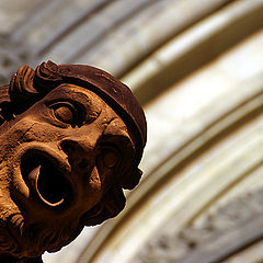 photo "The Head"