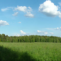 photo "Russian field"