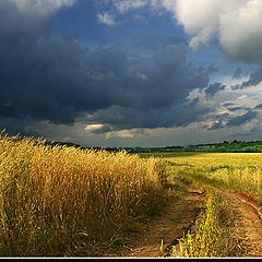 фото "Запах ГРОЗЫ..."