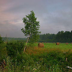 photo "About a summer"