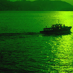 фото "Sunset in green"