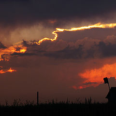 photo "Starling-house."