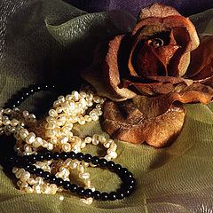 photo "Still-life. Balzac`s age."