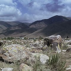 photo "Petroglyphs"