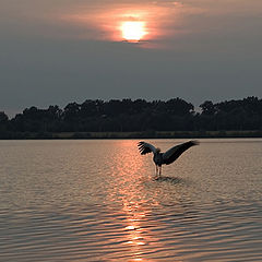 фото "Lake"