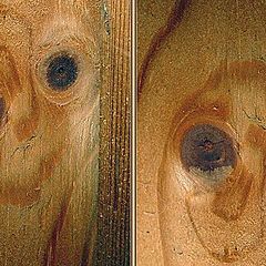 photo "twins of wood"