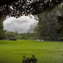 фото "my secrte garden in  TEPOZOTLAN MEXICO"