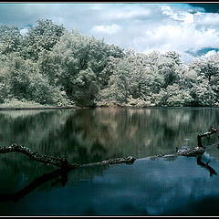 photo "Once Upon a Time After the Rain."