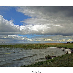 photo "Windy Day"