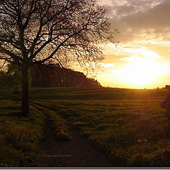 фото "Sunset in Switzerland"