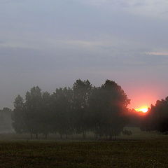 photo "Silence in a nature"