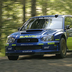 photo "WRC shakedown"