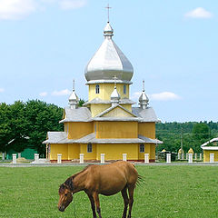 фото "Лошадь и церковь"