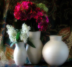 фото "Still Life"