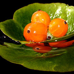 photo "Floating dessert"