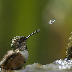 photo "The Catch"