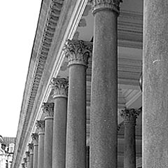 photo "columns"