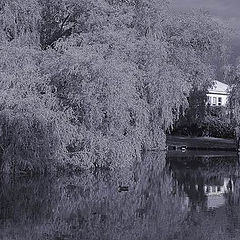 photo "Lighthouse"