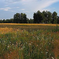 photo "August"