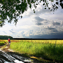 photo "To be in time up to a thunder-storm..."