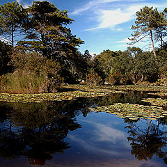 фото "" Monserrate Public Gardens""