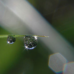 photo "In the stream of light"
