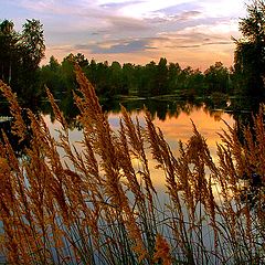 photo "Warm evening landscape"