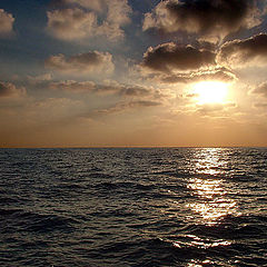 photo "sun & sea"