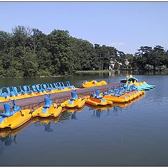 photo "Yellow Boats"