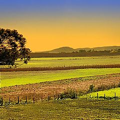 фото "Rural scene"