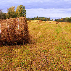 фото "Осенняя зарисовка"