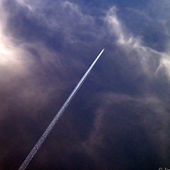 photo "Quest"
