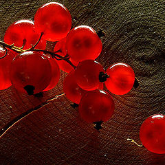 photo "Currant red"