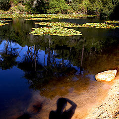 фото "" Self Portrait ""