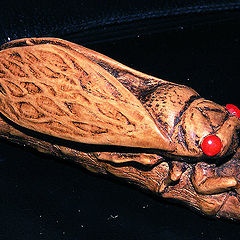 photo "cicada"
