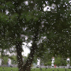 photo "A rain"