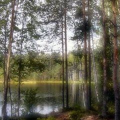 photo "Legends of wood lake"