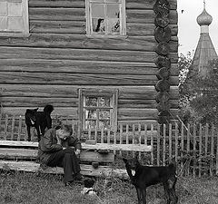 фото "Деревенский этюд"