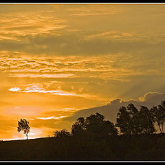 photo "Orange Sky"