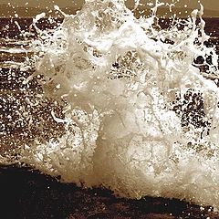 photo "the splash"