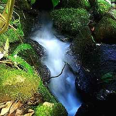 photo "Sleepy Waterfall"