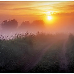 photo "Morning foggy..."