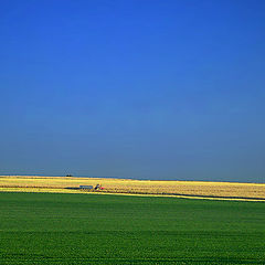 photo "Трактор в поле."