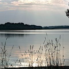 photo "Lake Simpele in Finland"