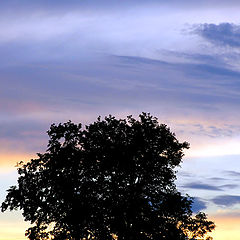 photo "Crown of the world"