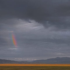 photo "Little rainbow"