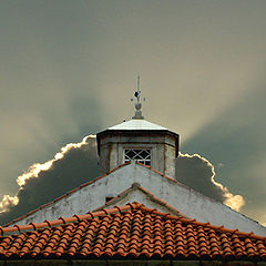 photo "roofs"