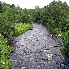 photo "The wood river"