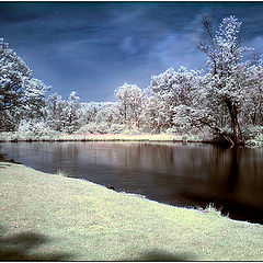 photo "Tranquillity of the river"