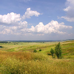 photo "Summer leaving for horizon"